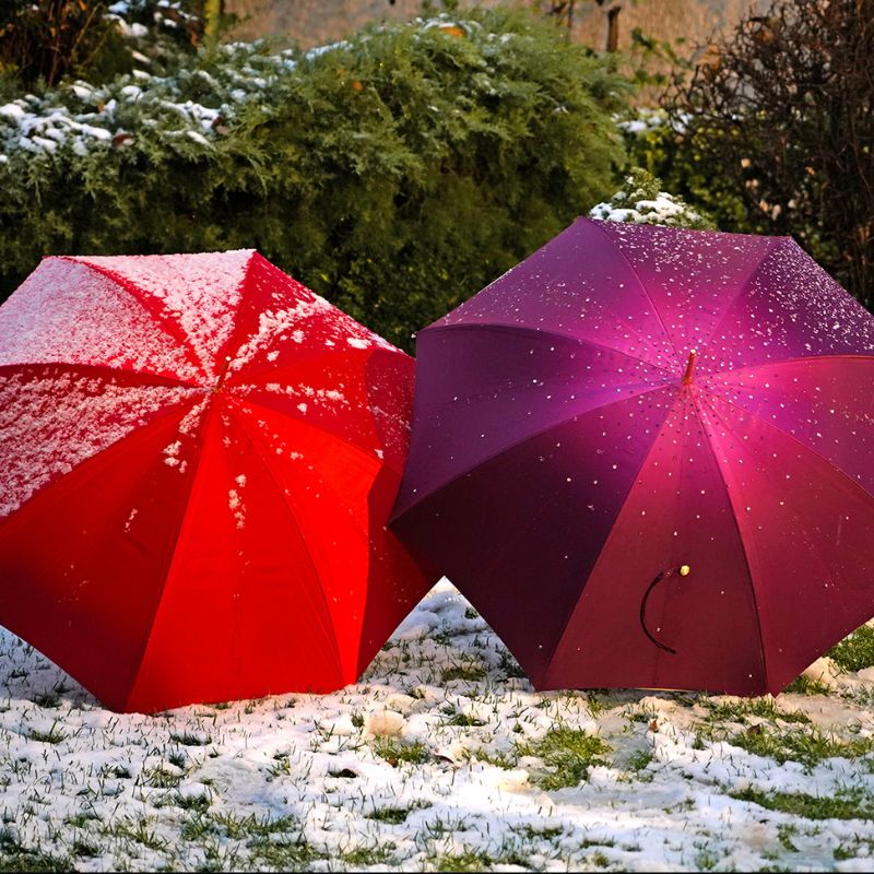Champs-élysées umbrella